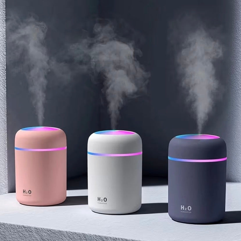 Portable Humidifier